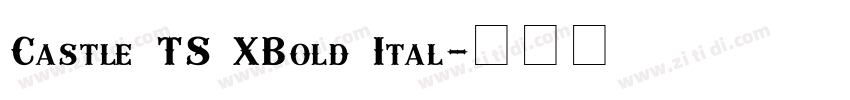 Castle TS XBold Ital字体转换